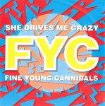 Fine Young Cannibals - She Drives Me Crazy Pop Music Deluxe